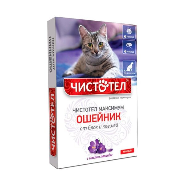 Ошейник "Чистотел коробка" д/кошек